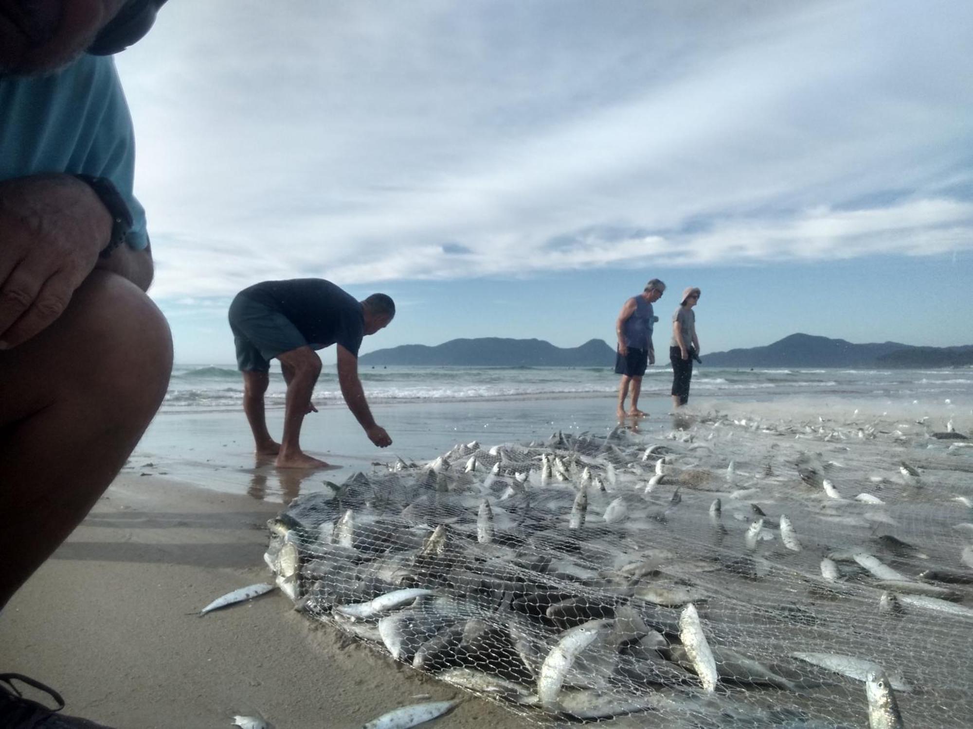 Charmoso E Moderno No Paraiso E Proximo Ao Aeroporto Florianópolis 외부 사진